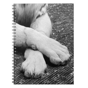 Cuaderno Paws
