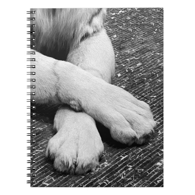 Cuaderno Paws (Frente)
