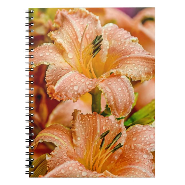 Cuaderno Peach Daylily (Frente)