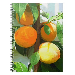 CUADERNO PEACHES