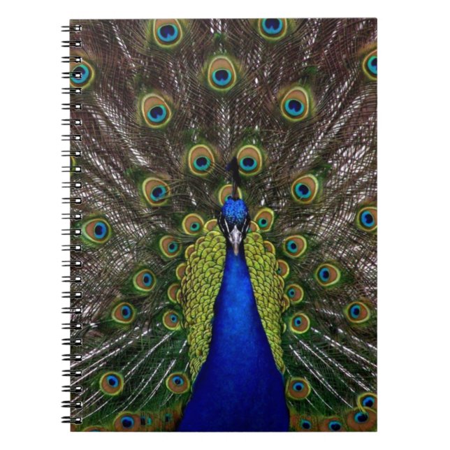 Cuaderno Peacock (Frente)
