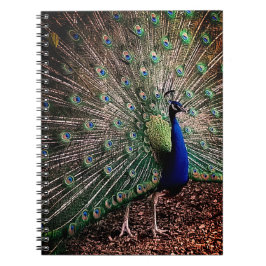 Cuaderno Peacock