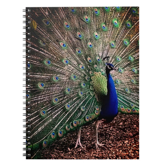 Cuaderno Peacock (Frente)