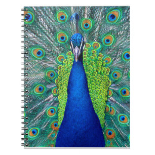 Cuaderno Peacock#1