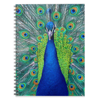 Cuaderno Peacock#1