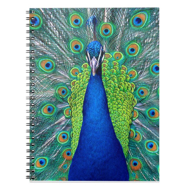 Cuaderno Peacock#1 (Frente)