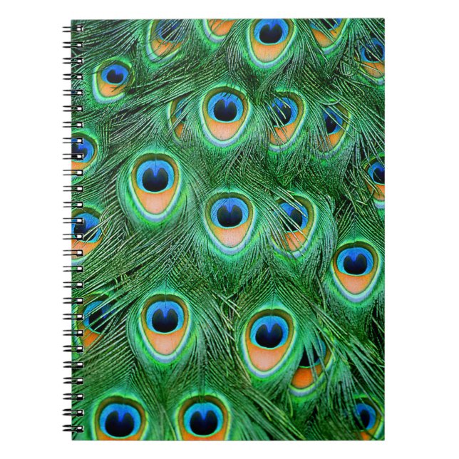 Cuaderno Peacock#2-Notebook (Frente)