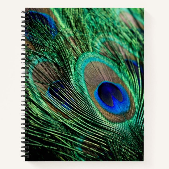 Cuaderno Peacock Feather Lucky (Anverso)