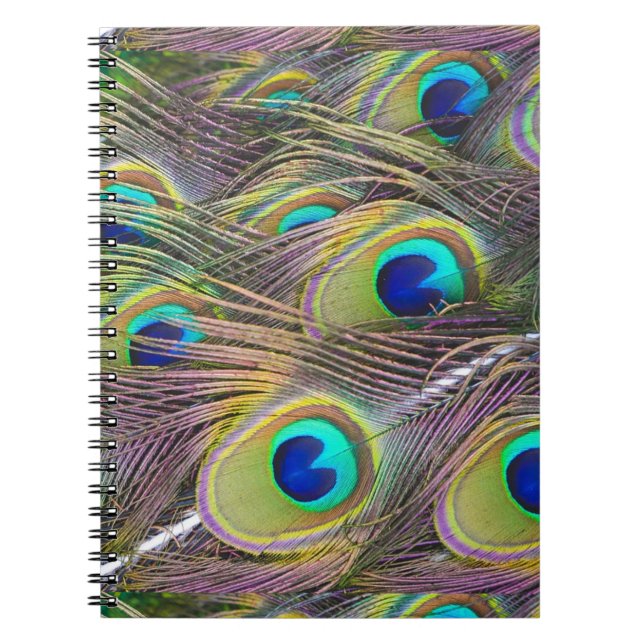 Cuaderno Peacock Feathers (Frente)