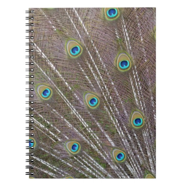 Cuaderno Peacock Feathers (Frente)