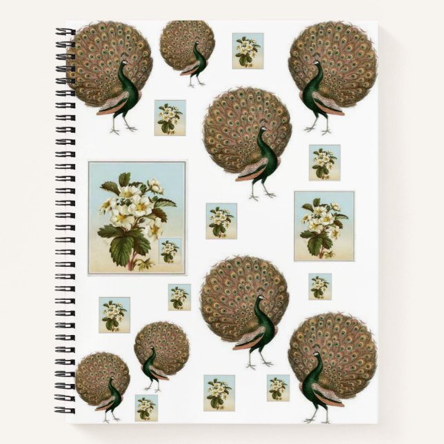 Cuaderno Peacock para bloc de notas en espiral (Anverso)