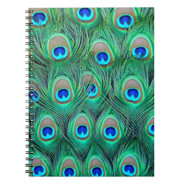 Cuaderno Peacock Splendor (Frente)