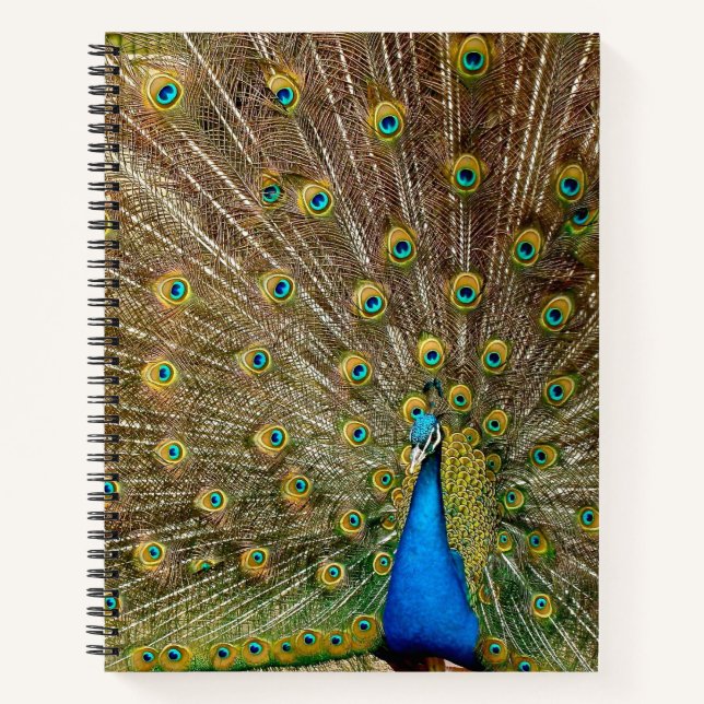 Cuaderno Peacock Tail Feathers (Anverso)