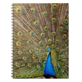 Cuaderno Peacock Tail Feathers
