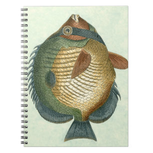 Cuaderno Peces coloridos