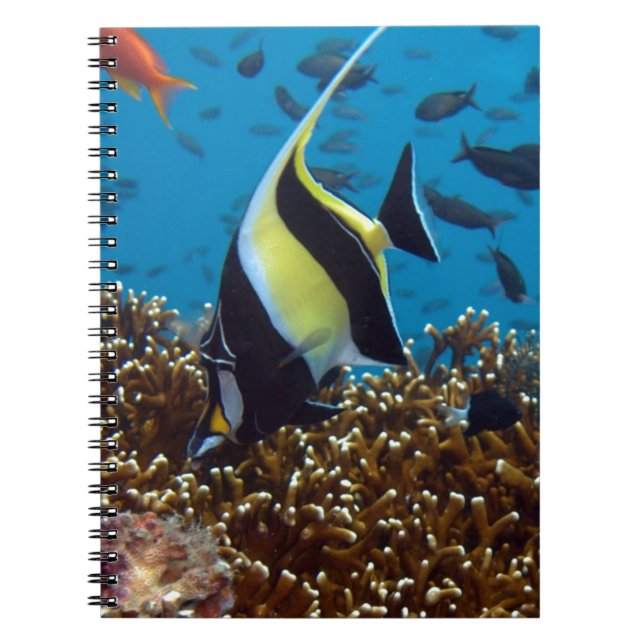 Cuaderno Peces tropicales (Frente)