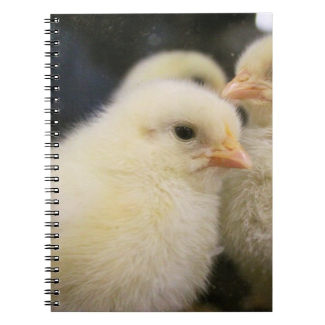 Cuaderno Peeps (Frente)