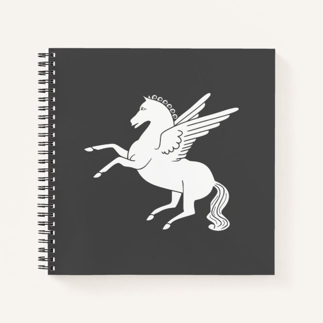 Cuaderno Pegasus (Anverso)