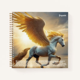 Cuaderno Pegasus