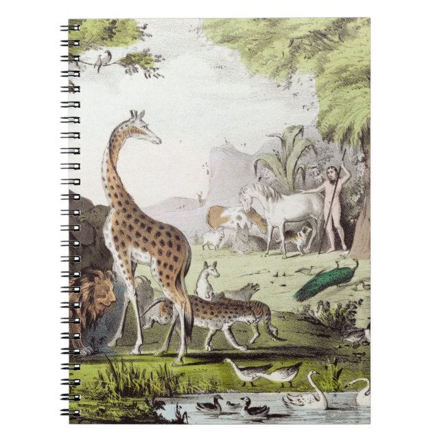 Cuaderno Pegatina (Frente)