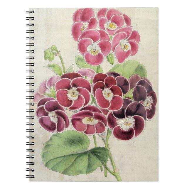 Cuaderno Pelargoniums de abertura botánica vintage (Frente)