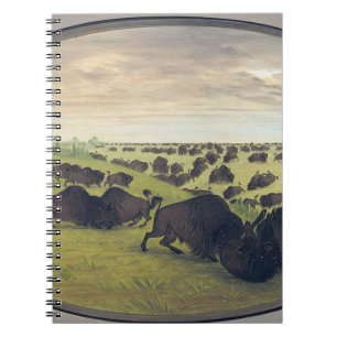 Cuaderno Pelea de búfalos