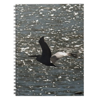 Cuaderno Pelican Volando por el Lago Bafa