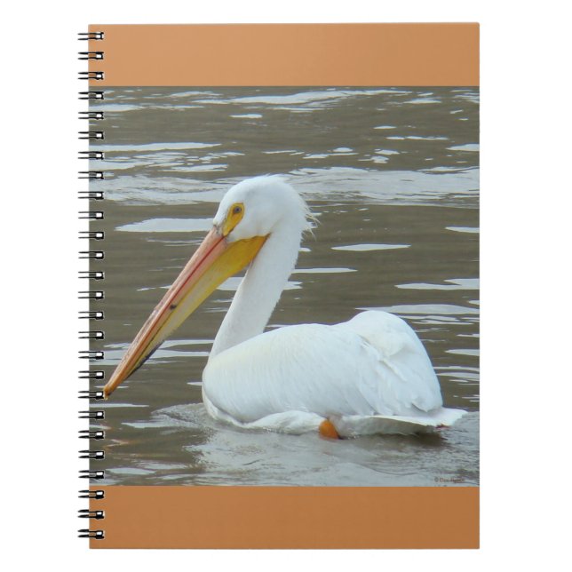 Cuaderno Pelícano blanco B15 en agua fangosa (Frente)