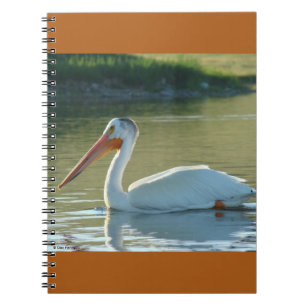 Cuaderno Pelícano blanco B4