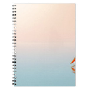 CUADERNO PELICANO BLANCO EN CUERPO DE AGUA