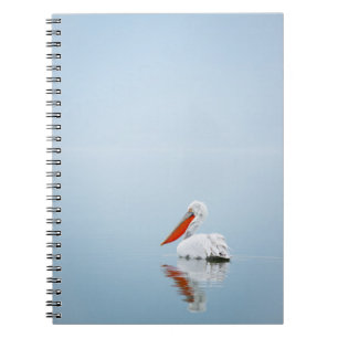 CUADERNO PELICANO EN AGUA AZUL