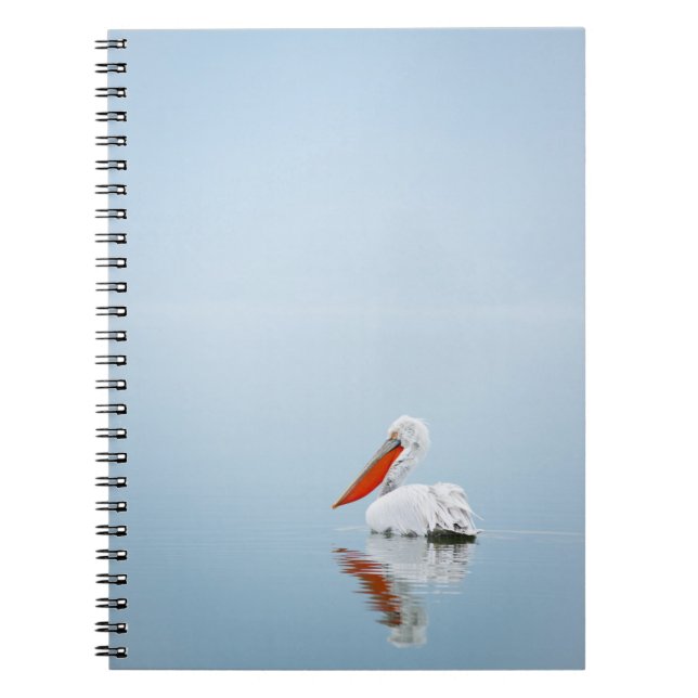 CUADERNO PELICANO EN AGUA AZUL (Frente)