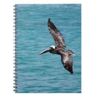 Cuaderno Pelícano en vuelo
