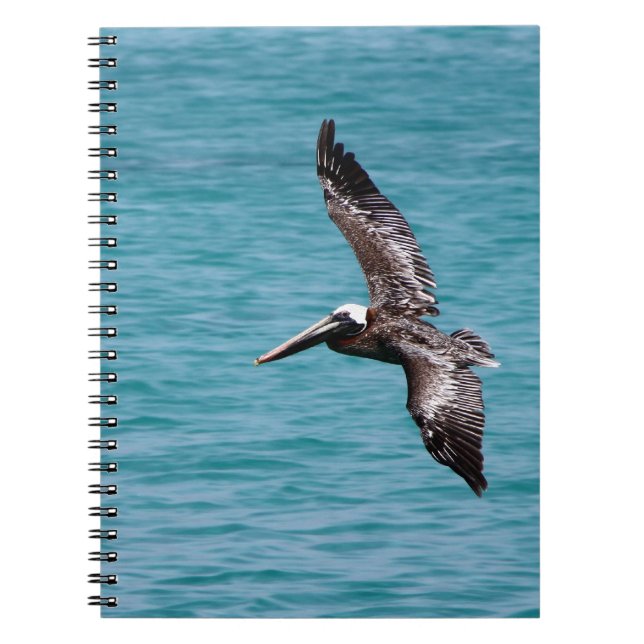 Cuaderno Pelícano en vuelo (Frente)