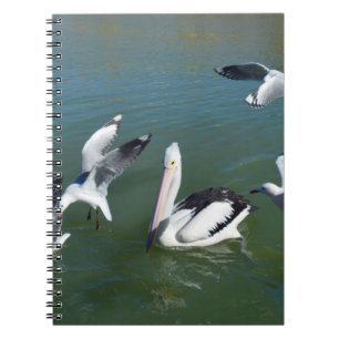 Cuaderno Pelícano y los que se cuelan, 