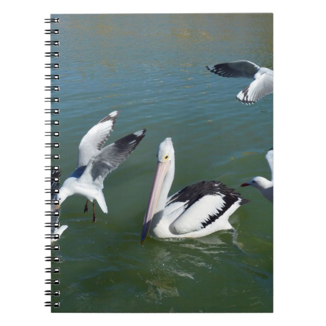 Cuaderno Pelícano y los que se cuelan,  (Frente)