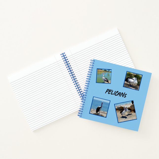 Cuaderno Pelicans The World Coolest Bird Four Photo Frames, (Interior)