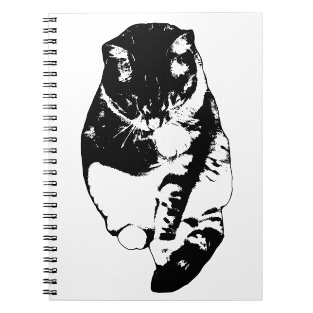 Cuaderno Pelo Plateado Tranquilo (Frente)