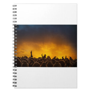 Cuaderno Pengiunes al atardecer
