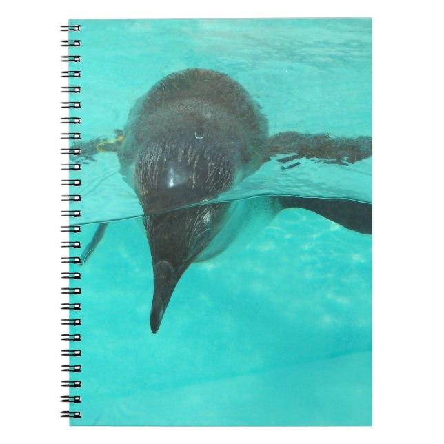 Cuaderno Penguin Diving (Frente)