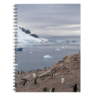 CUADERNO PENGUINS BESIDE SEA