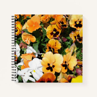 Cuaderno Pensamientos