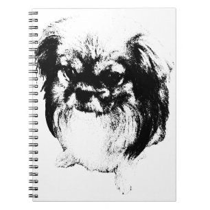 Cuaderno Pensamientos de una fluctuación