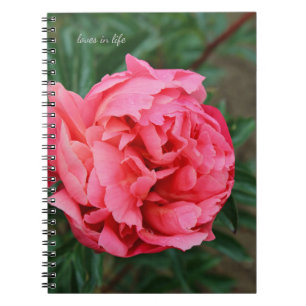 Cuaderno Peón rosa completo