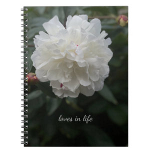 Cuaderno Peonía blanca completa