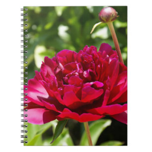 Cuaderno peonías de terciopelo maroon oscuro