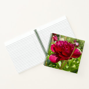 Cuaderno peonías de terciopelo maroon oscuro