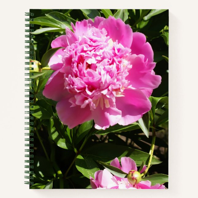 Cuaderno peonías rosadas oscuras (Anverso)