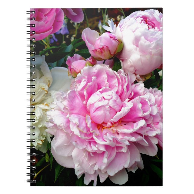 Cuaderno Peonias rosas y blancas (Frente)