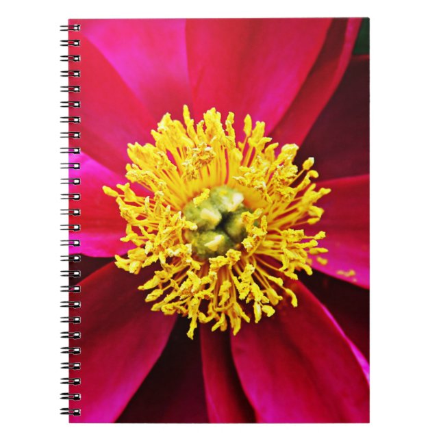 Cuaderno ¡¡¡Peonies!!! (Frente)